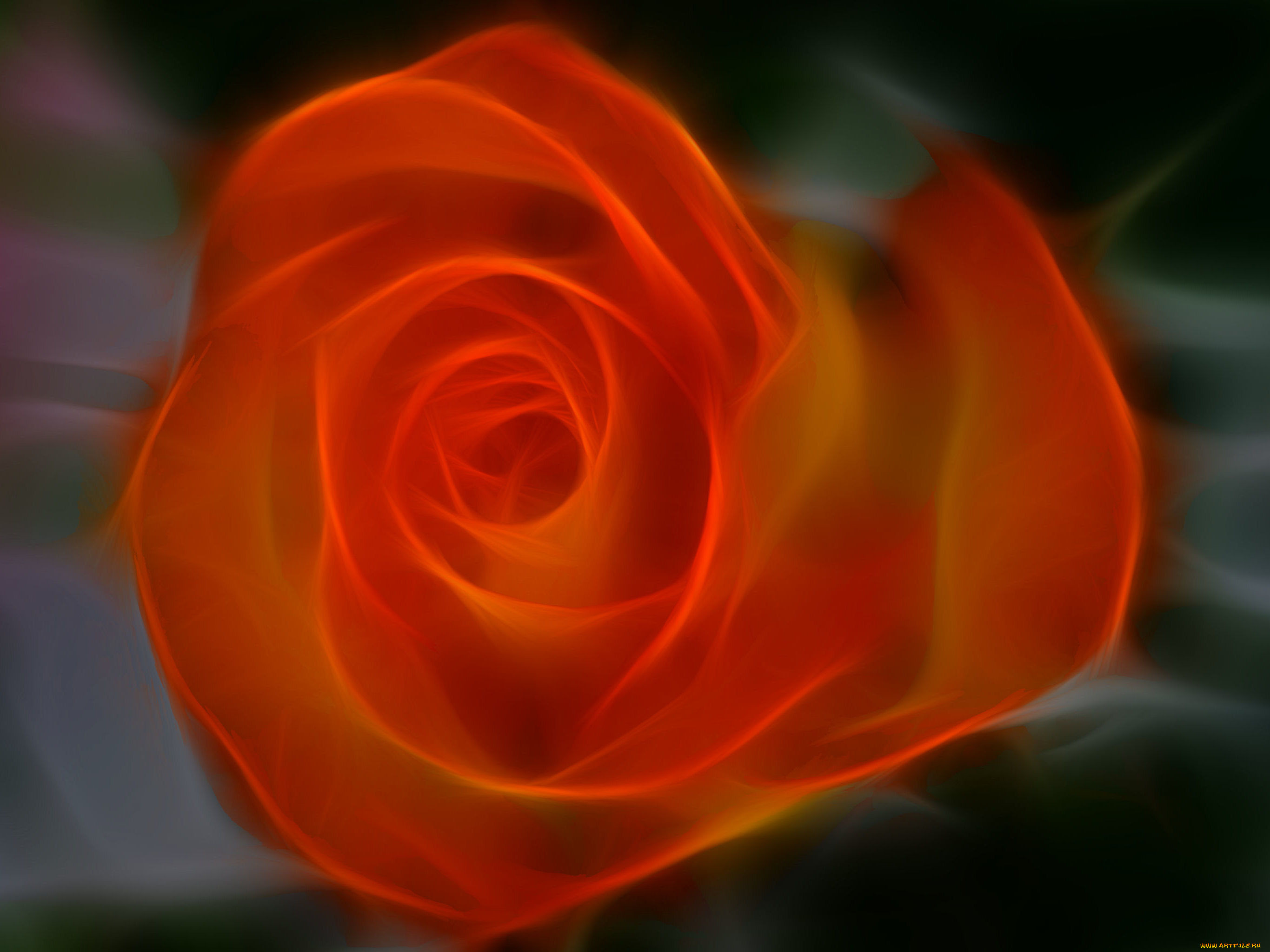 3, , flowers, 